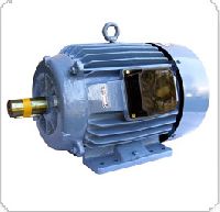 Inverter Duty Motor