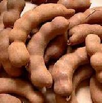 Tamarind Pods