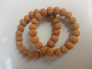 Rudraksha