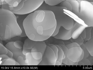 Hexagonal Boron Nitride Powders