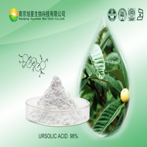 Ursolic Acid 98%, Brand Name : Xyumax, Packaging Type : 25kgs/drum