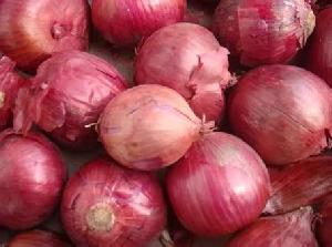 fresh red onion