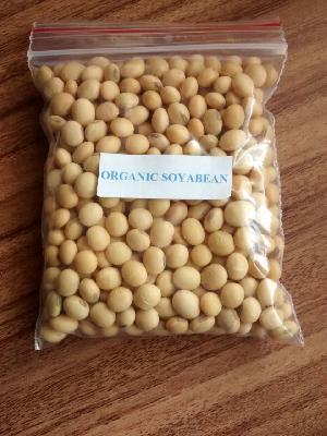 Organic Soyabean