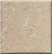 Ravina sandstone