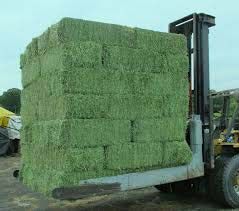 Alfalfa Hay,  Fibers : 16%