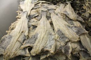 DRIED SALTED SAITHE (Bacalhau)