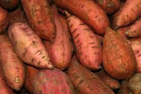 Fresh Sweet Potato