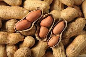 Peanuts In Huge Quantity For Sale