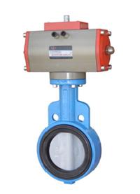 butterfly valve