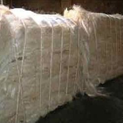 Best Price  100% Natural Sisal Fiber