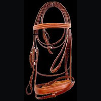 Leather Bridle