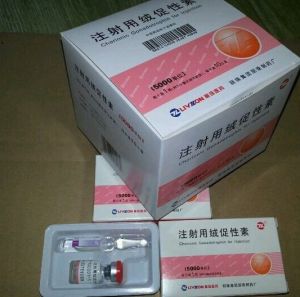 Hcg  Human Chorionic Gonadotrop