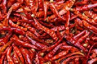 Dried Chilly