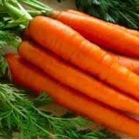 Fresh Carrot