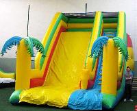 Inflatable Bouncer (06)