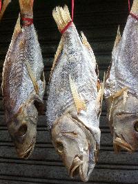 Salted Fish