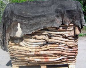 Animal Skin