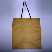 Recyclable Non Woven Gift Bag