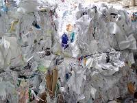 Paper Waste-01
