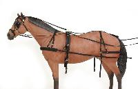 Horse Harness