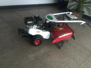 Export Rotary Tiller