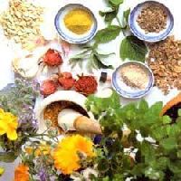 herbal pest control