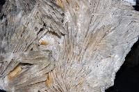 Wollastonite