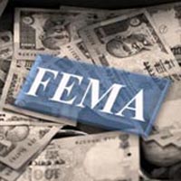 FEMA & RBI Related Services