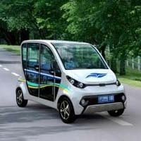 Low Speed Domestic Electric Cars