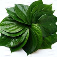 betel leaves