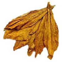 Tobacco Leaves in Tamil Nadu - Manufacturers and Suppliers India