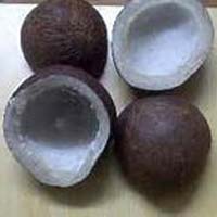 Dry Coconuts Dried Coconut Meat Price Manufacturers Suppliers