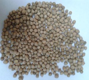 Chickpeas Seed