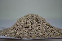 Singapore 99 Cumin Seeds, Packaging Type : 25/30/40/50