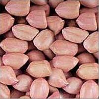 Groundnuts - 02