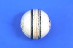 Cricket Ball BDM Dynamic Power -White
