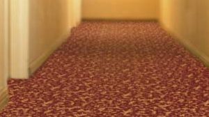 Broadloom Carpets Carus