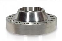 Forged Flanges