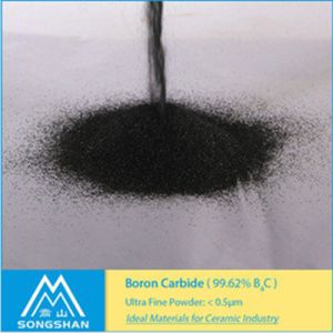 Boron Carbide Powder