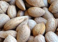 kashmiri almond