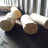 Aspen logs