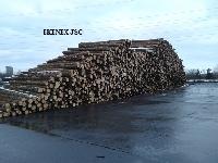 Spruce Logs from Belarus (picea Abies)