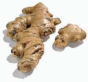 Ginger Oil