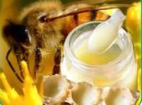 Royal Jelly