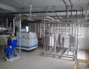 Milk Dairy Plants