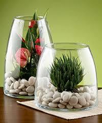 glass plant pots