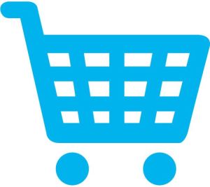 Online Shopping Site Setup Services