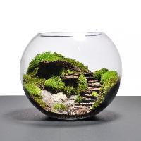 terrarium