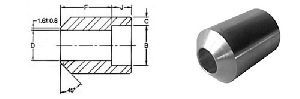 Boss Socket Weld Fitting