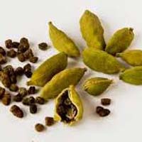 green cardamom